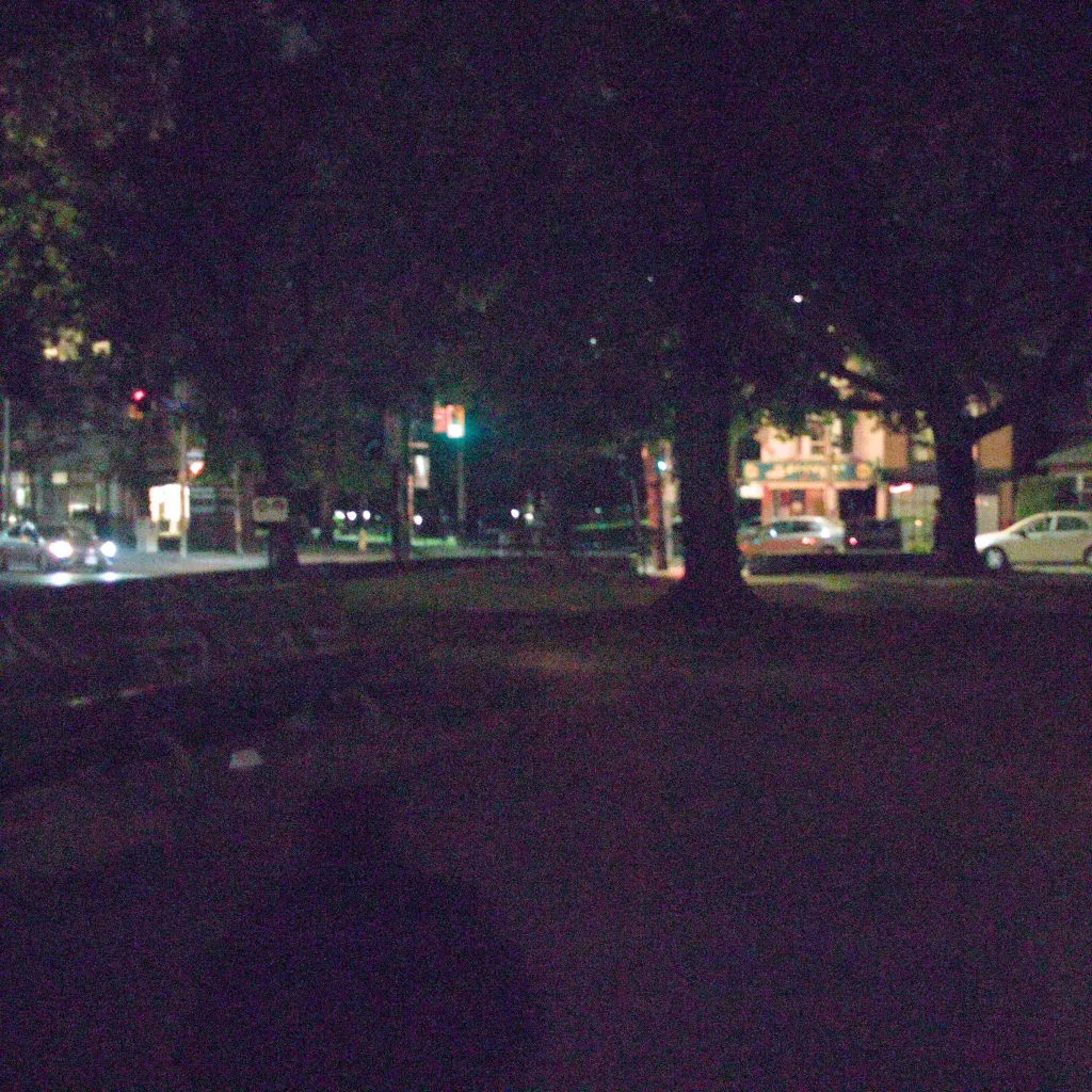 Unfocused Park - Toronto